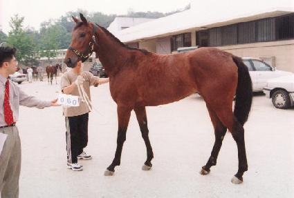 ǳ���Ǻ� ����