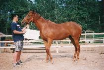 Ÿ�ݿ� (TAGYEOGWANG) ����