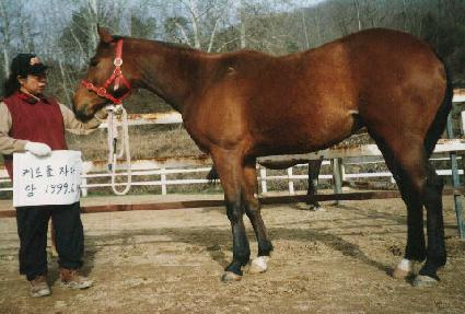 ���� ����