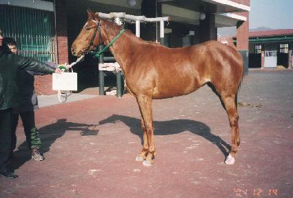 �ڶ����� ����