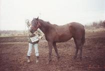 �������� (OREN GAMDONG) ����