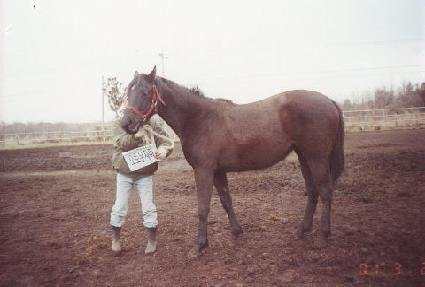 �������� ����