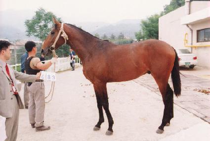 �����ǹ��� ����