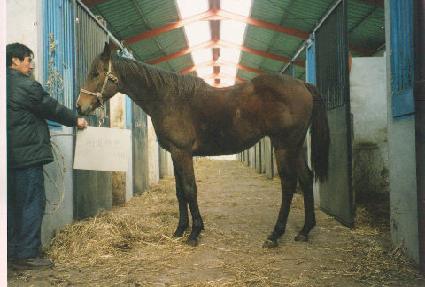 ��Ÿ ����