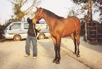 ����Ʈ���� (CONCEPT RIVER) ����