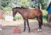 ��� (SANGSAN) ����