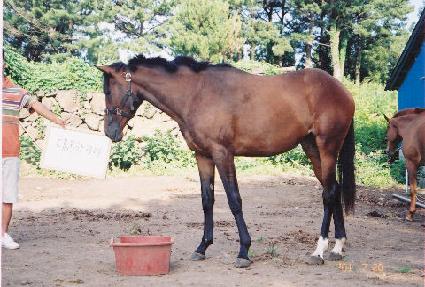 ��� ����