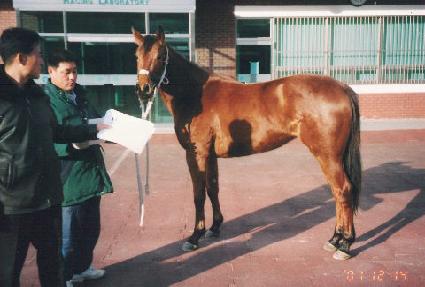 ������ ����