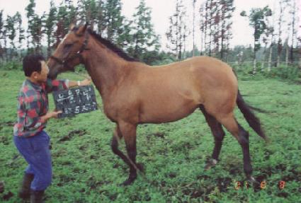 ��� ����