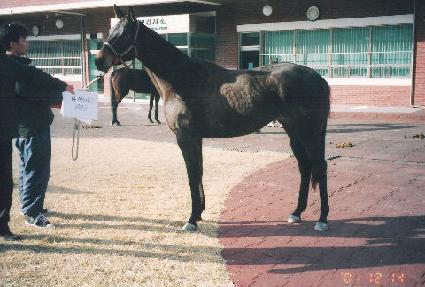 ��ħ�ϴ� ����