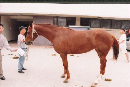 ���޶� ����