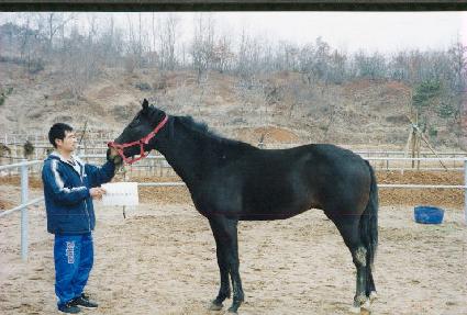 �극�̺꿵 ����