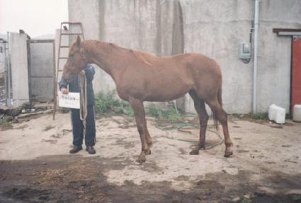 ���ǵ� ����