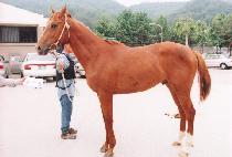 ���� (YONGJAM) ����