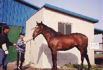 ������ (DAE TONG IL) ����