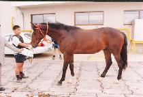 ���� (BAEKJAK) ����