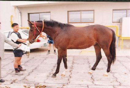 ���� ����