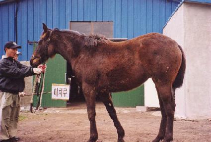 õ�� ����