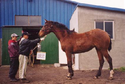 Ž�����Ϻ� ����