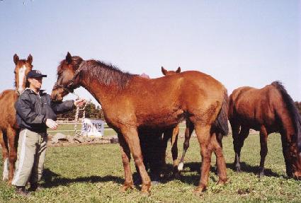 Ƽ��״� ����