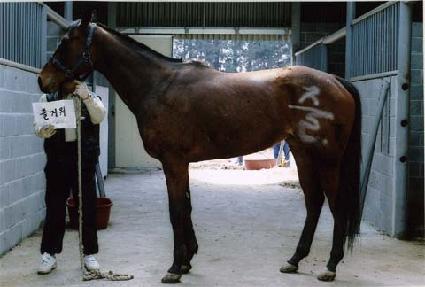 ��ſ� ����