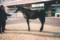 ���� (HYEONDAP) ����