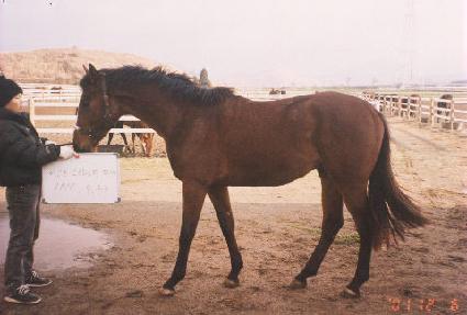 �̽��ͷ絹�� ����