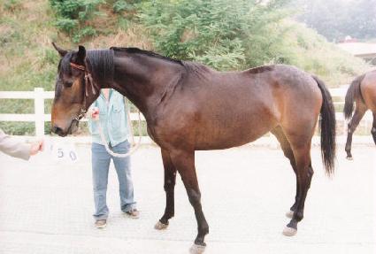 ������ ����