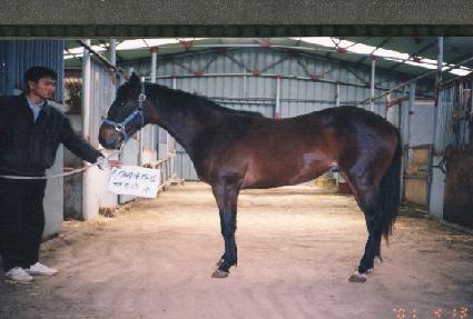 �е��� ����