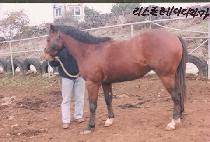 �����ְ� (YEONJUNG CHOIGO) ����