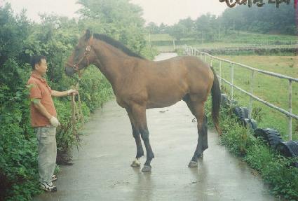 õ�ϰ��� ����