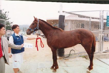 �ٶ�� ����