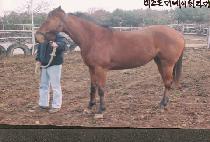 ������ (LOVE CALL) ����