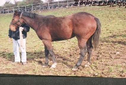 ��õ ����