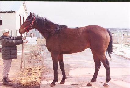 �������� ����