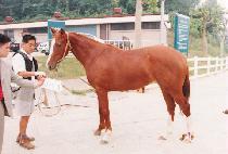 �º�ȣ�� (SEUNGBU HOGYEOL) ����