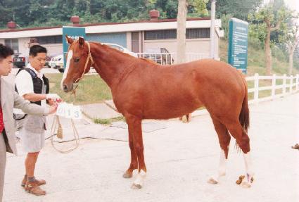 �º�ȣ�� ����