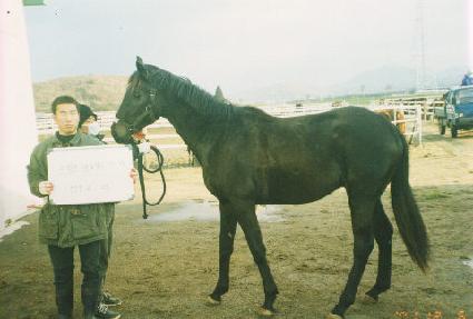 ����ź�� ����