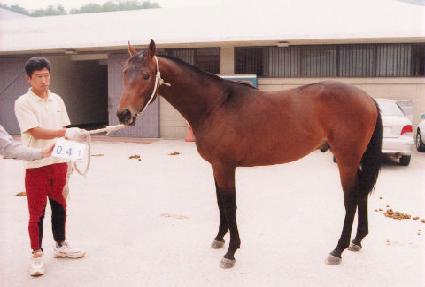 ��ũ���崺�� ����