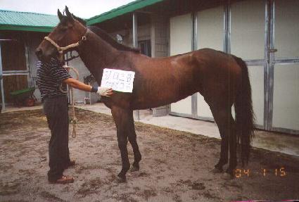 ������� ����