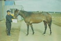 �¸�ȯȣ (SEUNGNI HWANHO) ����