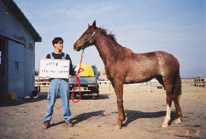 �ݱ�ȸ ����