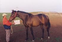 �ݺ��� (GEUMBONGSAN) ����