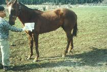 õ����� (CHEONSU DAESEUNG) ����