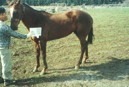 õ����� ����