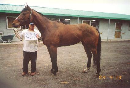 ��ȭ�� ����