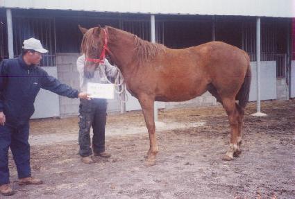 ���� ����