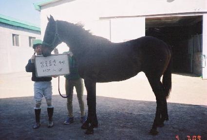 ȣ�� ����