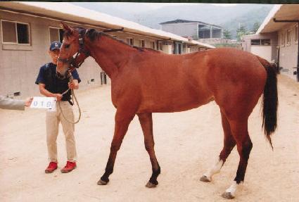 �Ҽ����� ����