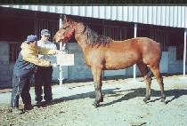 ���� (GWANDONG) ����